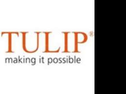 Tulip Telecom appoints advisor to raise fresh funds to repay outstanding FCCBs