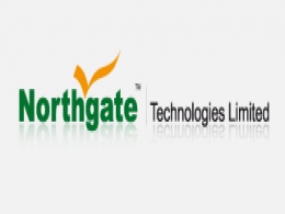Northgate demerging Bharatstudent.com, Ziddu.com and VoIP biz under Globe7 into separate listed firm