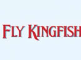 Kingfisher submits plan to restart airline