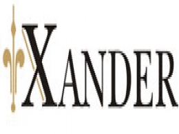 Xander initiates negotiations with Tishman Speyer to sell IT Park in Chennai