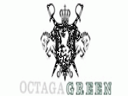 Distillery products manufacturer Octaga Green Power looking to raise $50M
