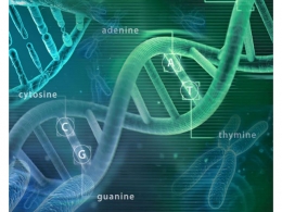 Strand Life Sciences close to raising $20M
