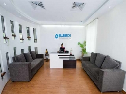 Blubirch raises $2M from Chicago Capital, Sanjay Mehta, others