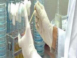 SeQuent to acquire 51% stake in Indo Phyto Chemicals