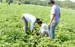 SV Agri raises funds from Lok Capital, Aspada