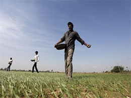 Sumitomo Chemical to buy 44% stake in Excel Crop Care for $90 mn