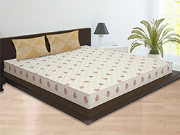 Sleepwell parent looks to raise $75 mn via IPO, hires bankers