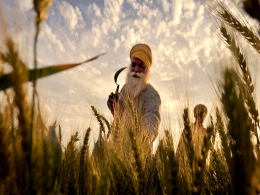 India July-Sept GDP growth quickens to 7.3%