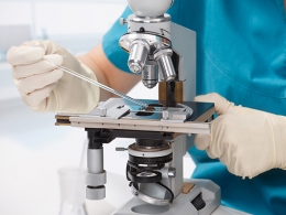 Laurus Labs nets $58 mn from anchor investors