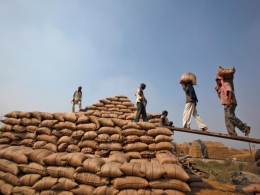 India's wholesale prices rise 5.25% in January