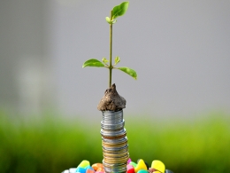 Yuvraj Singh's YouWeCan Ventures invests in Startup Buddy