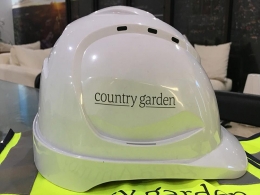 China's Country Garden talking to two Bengaluru realtors to buy land plots