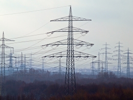 TPG consortium eyes Tata Tele's fibre assets; Tata Power, Adani bid for Odisha discom