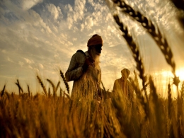 Anveshan Farm in talks with growth-stage PE firms to raise fresh capital