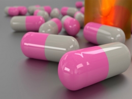 Vivimed's bulk-drugs unit to buy Hungarian contract manufacturing firm