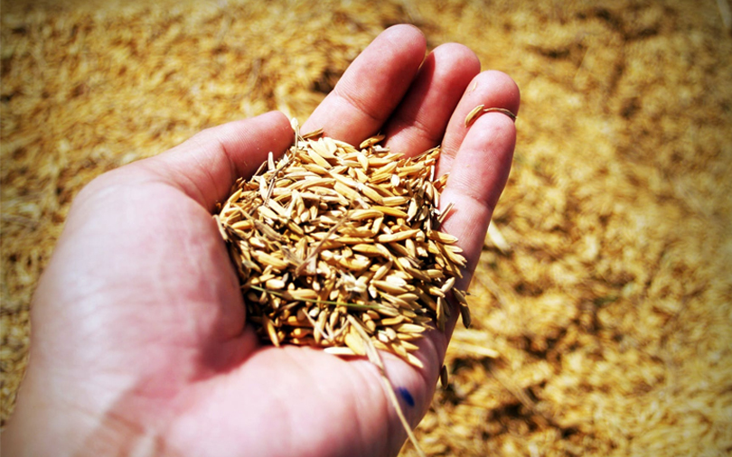 KKR-backed Advanta to acquire Egypt-based seed company