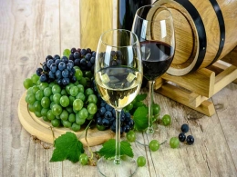 Deal activity slow, but Indian wine sector may see more JVs: Report