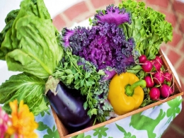 LGT Impact leads investment in fresh-produce distributor Waycool