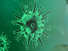 Global coronavirus infections cross 4.2 mn, death toll moves past 285,000