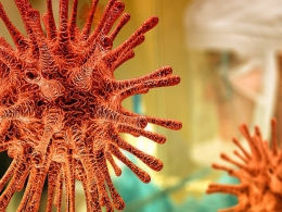 India's coronavirus cases rise by a daily record of 55,078
