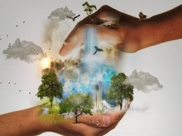 The fund managers, the sleuths and the mystery of the missing ESG