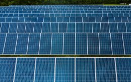 NIIF-owned Ayana Renewable in talks to buy solar energy asset for nearly ₹450 crore