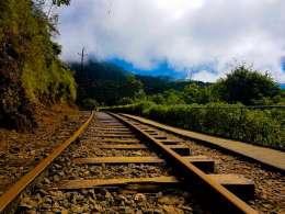 JSW Energy acquires rail infrastructure firm via insolvency process